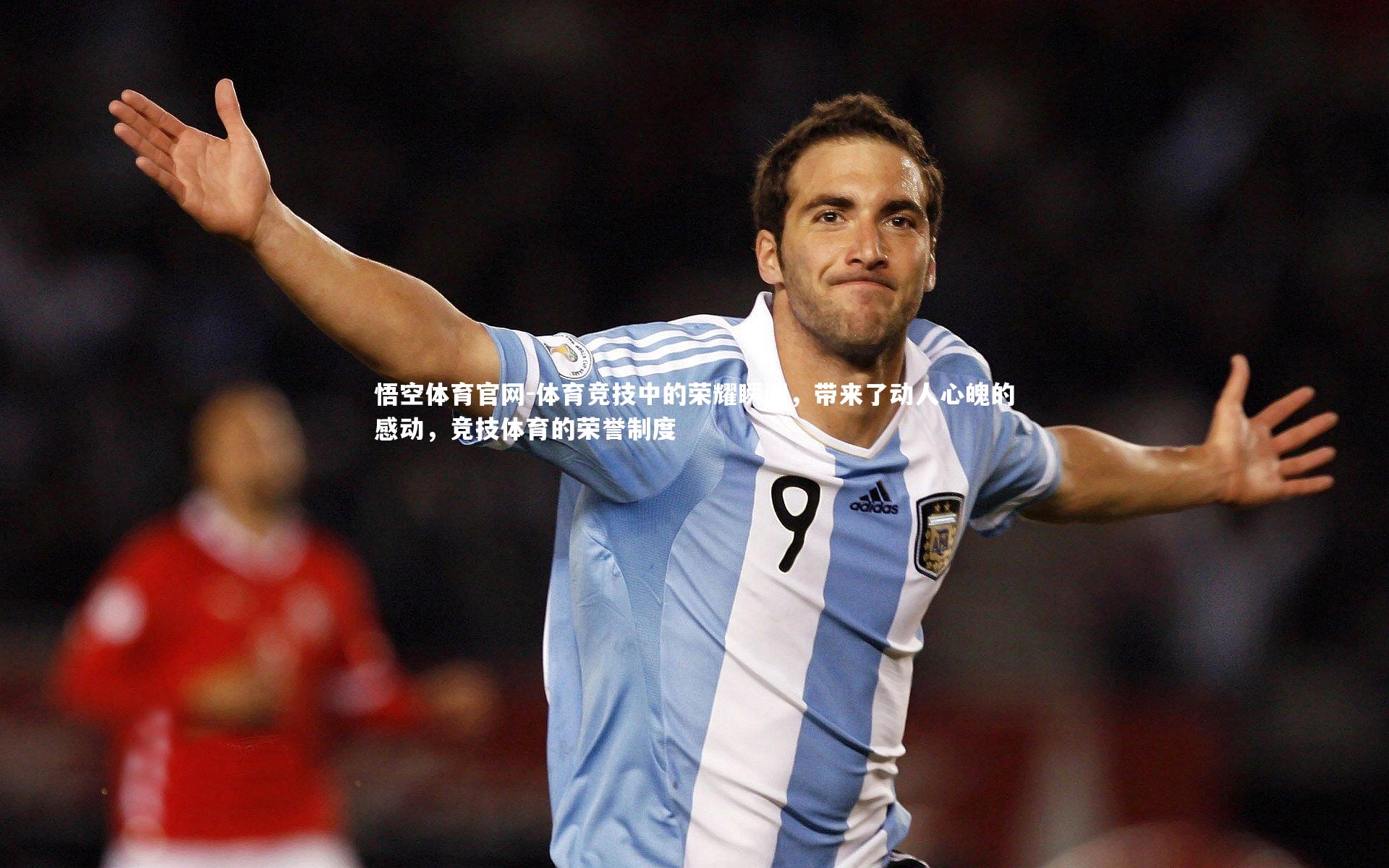 体育竞技中的荣耀瞬间，带来了动人心魄的感动，竞技体育的荣誉制度
