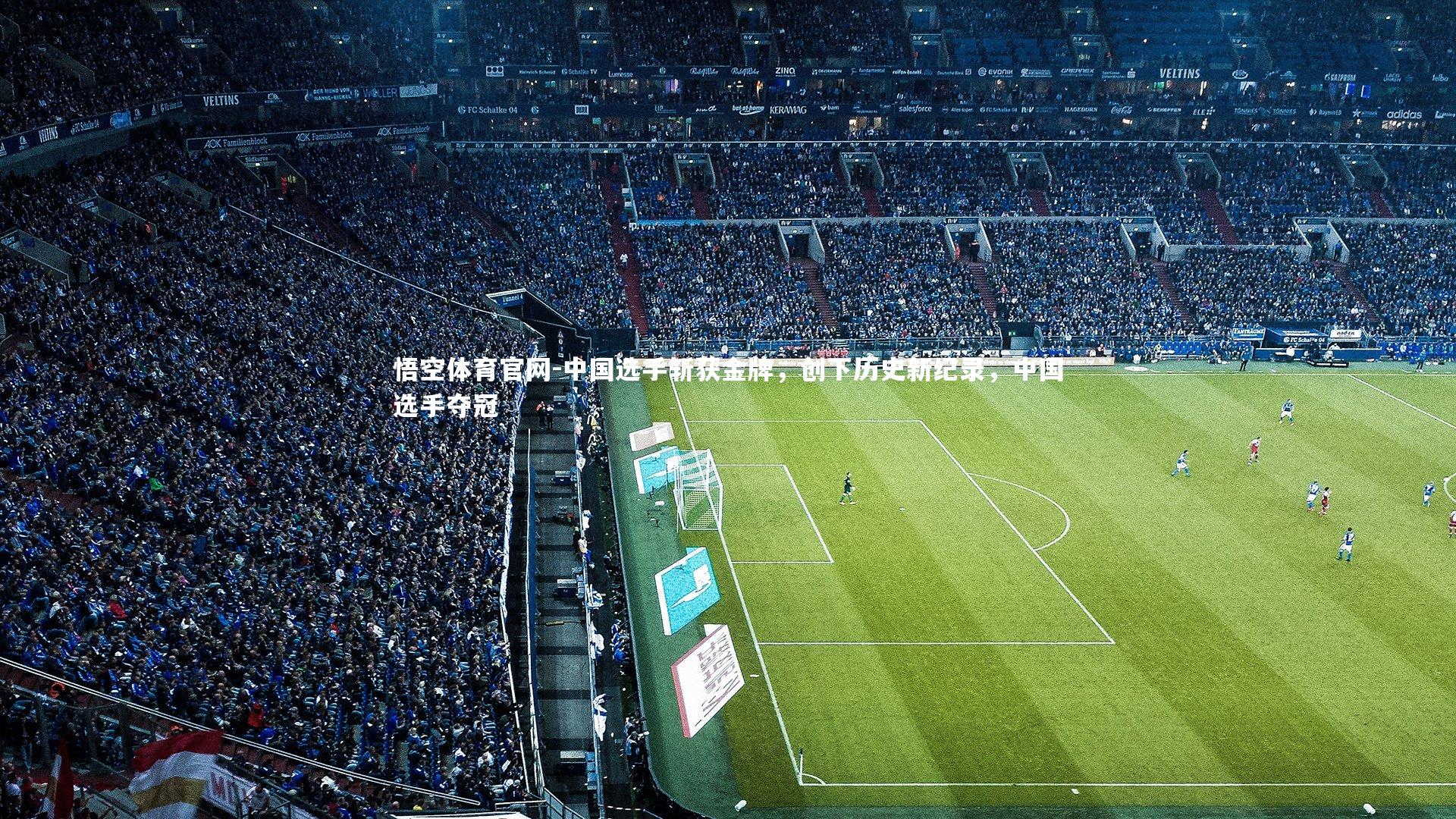 中国选手斩获金牌，创下历史新纪录，中国选手夺冠