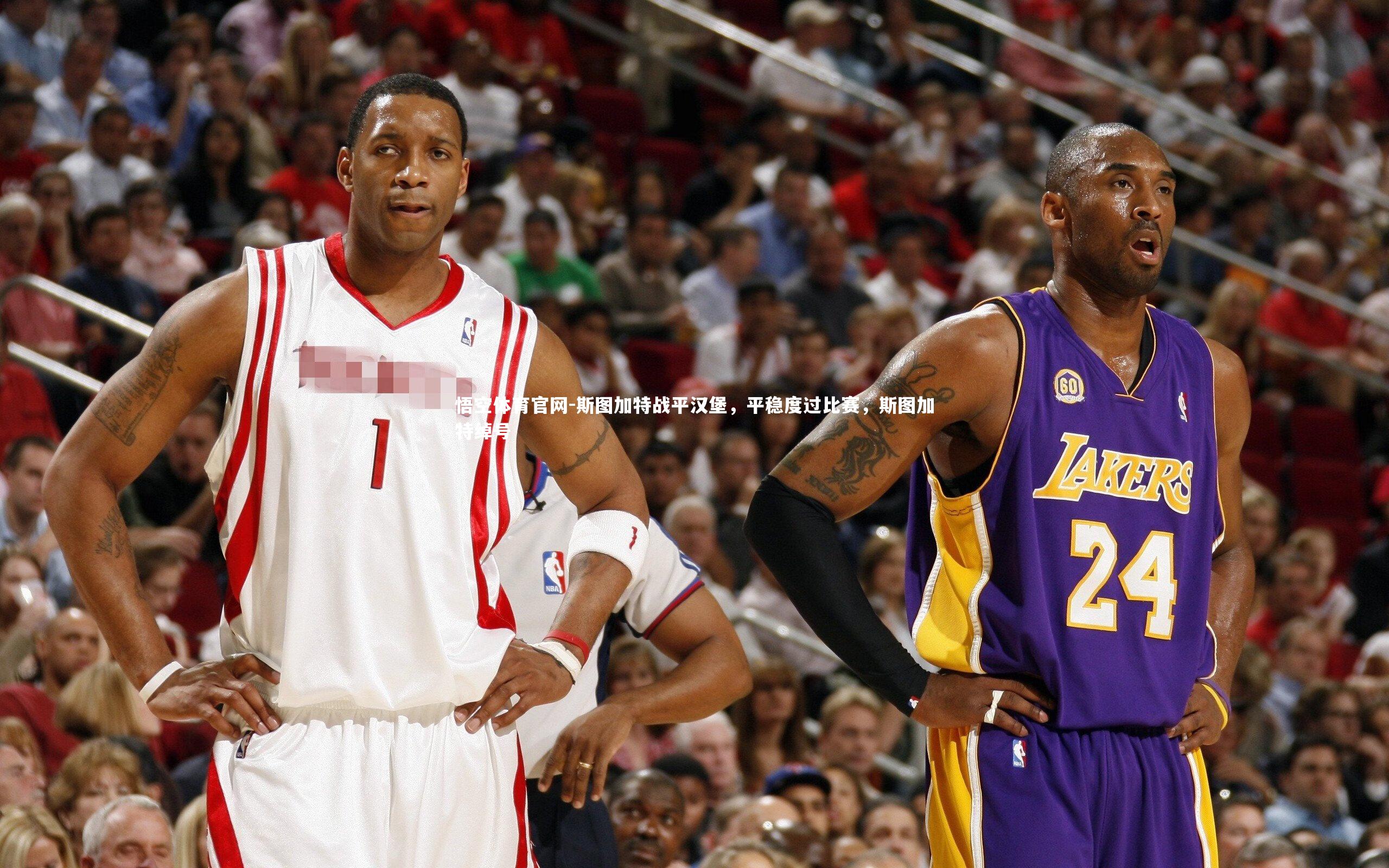 斯图加特战平汉堡，平稳度过比赛，斯图加特绰号